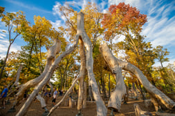 Your Tulsa Fall Bucket List